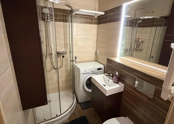 Apartment Cozy In A Great Location