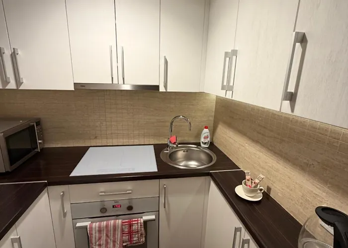 Apartment Cozy In A Great Location