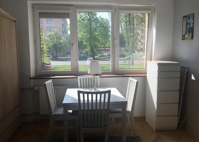 Apartment Cozy In A Great Location